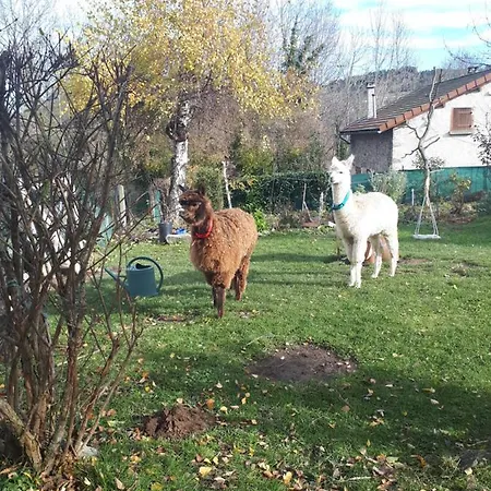 Gite Les Gilles Et Ses Animaux Calme-bon Air - 5 Personnes Séjour à la campagne Pinet (Puy-de-Dome)