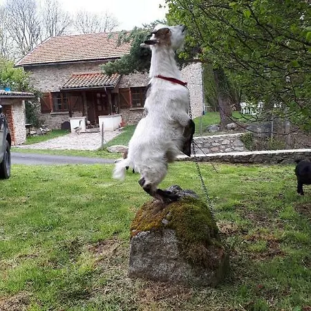 Gite Les Gilles Et Ses Animaux Calme-bon Air - 5 Personnes *