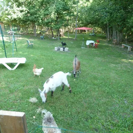 Gite Les Gilles Et Ses Animaux Calme-bon Air - 5 Personnes